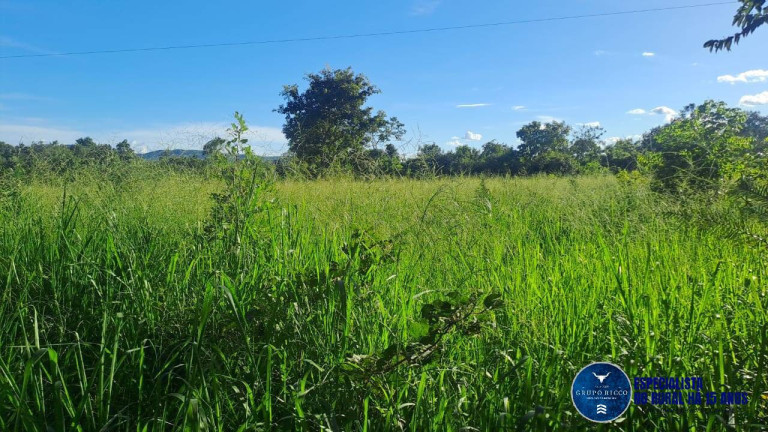 Imagem Fazenda à Venda, 290 m² em Zona Rural - São Salvador Do Tocantins Imagem Fazenda à Venda, 290 m² em Zona Rural - São Salvador Do Tocantins