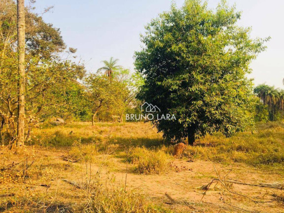 Imagem Imóvel à Venda, 12.000 m² em Cidade Nova - Igarapé Imagem Imóvel à Venda, 12.000 m² em Cidade Nova - Igarapé