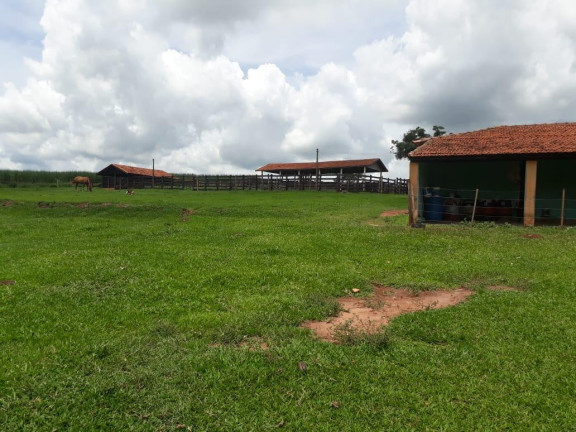 Imagem Fazenda à Venda, 35 m² em Rural - Bauru Imagem Fazenda à Venda, 35 m² em Rural - Bauru