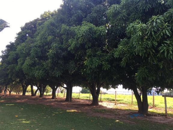 Imagem Chácara à Venda, 100 m² em Anisio De Moraes - Boituva Imagem Chácara à Venda, 100 m² em Anisio De Moraes - Boituva