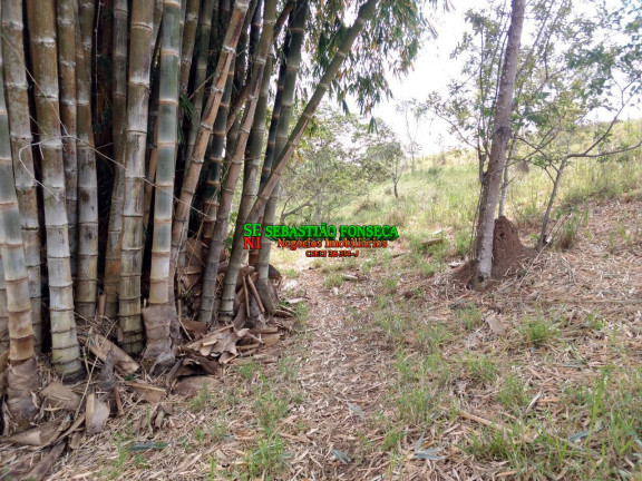 Imagem Chácara à Venda, 5 m² em Sob. Consulta - Caçapava Imagem Chácara à Venda, 5 m² em Sob. Consulta - Caçapava