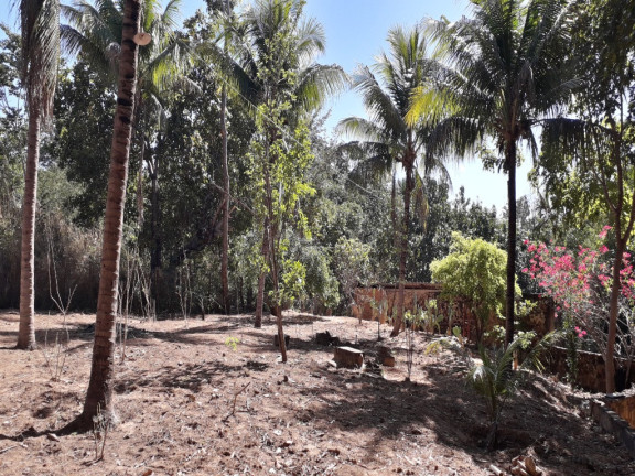 Imagem Imóvel com 3 Quartos à Venda, em Quente Frio - Barreiras Imagem Imóvel com 3 Quartos à Venda, em Quente Frio - Barreiras