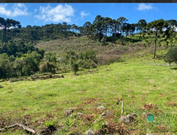 Imagem Imóvel com 1 Quarto à Venda, 20.000 m² em Zona Rural - Urubici