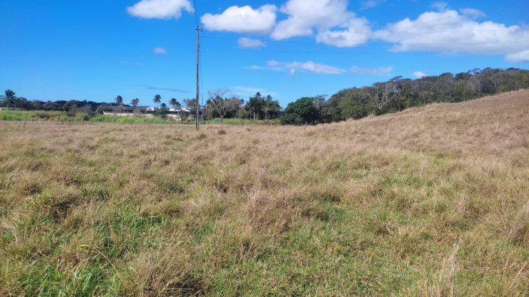Imagem Imóvel à Venda, 10 m² em Comunidade Urbana De Samambaia - Guarapari Imagem Imóvel à Venda, 10 m² em Comunidade Urbana De Samambaia - Guarapari