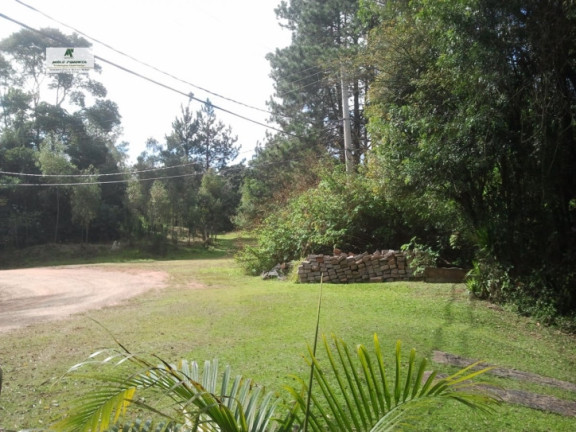 Imagem Chácara com 4 Quartos à Venda, 2.940 m² em Caetê - São Roque Imagem Chácara com 4 Quartos à Venda, 2.940 m² em Caetê - São Roque