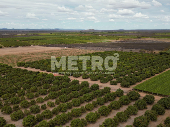 Fazenda à Venda,  em área Rual - Petrolina
