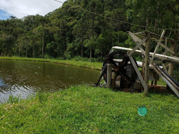 Imagem Imóvel com 3 Quartos à Venda, 350.000 m² em Zona Rural - Bom Retiro