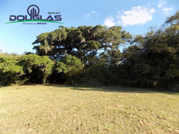 Imagem Chácara à Venda, 8 m² em águas Claras - Viamão Imagem Chácara à Venda, 8 m² em águas Claras - Viamão