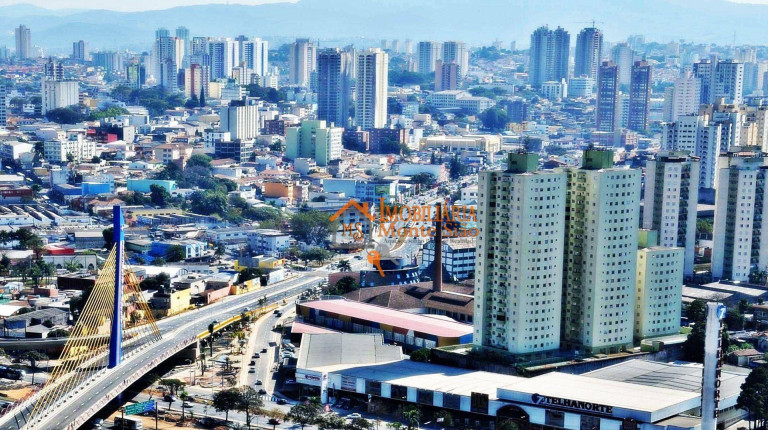 Imagem Apartamento com 2 Quartos à Venda, 50 m² em Centro - Guarulhos
