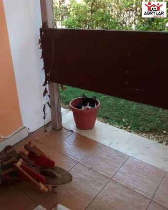 Imagem Imóvel com 2 Quartos à Venda, 277 m² em Chácara Urbana - Jundiaí Imagem Imóvel com 2 Quartos à Venda, 277 m² em Chácara Urbana - Jundiaí