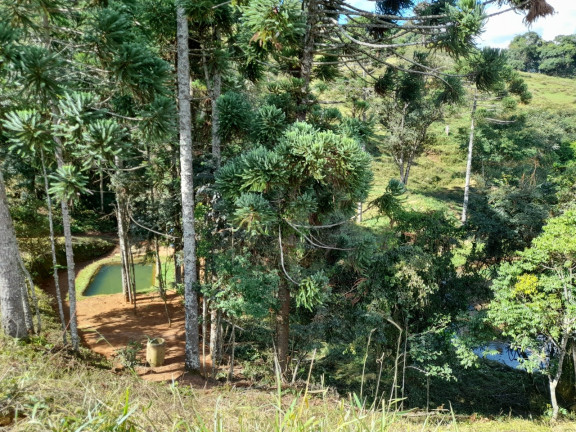 Imagem Imóvel com 2 Quartos à Venda, 10.430 m² em Capituvas - Bandeira Do Sul Imagem Imóvel com 2 Quartos à Venda, 10.430 m² em Capituvas - Bandeira Do Sul