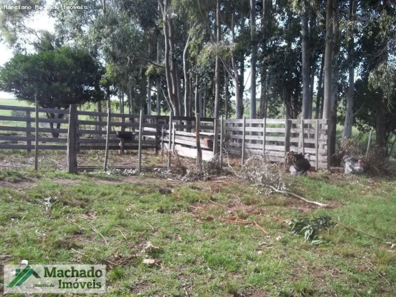 Imagem Imóvel à Venda, 200.000 m² em Rural - São Sepé Imagem Imóvel à Venda, 200.000 m² em Rural - São Sepé