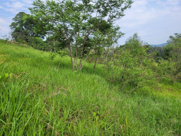 Imagem Terreno à Venda, 13 m² em Ponte Nova - Extrema