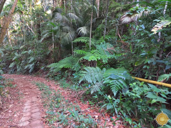 Imagem Terreno à Venda, 1.169 m² em Praia Brava - Ubatuba Imagem Terreno à Venda, 1.169 m² em Praia Brava - Ubatuba