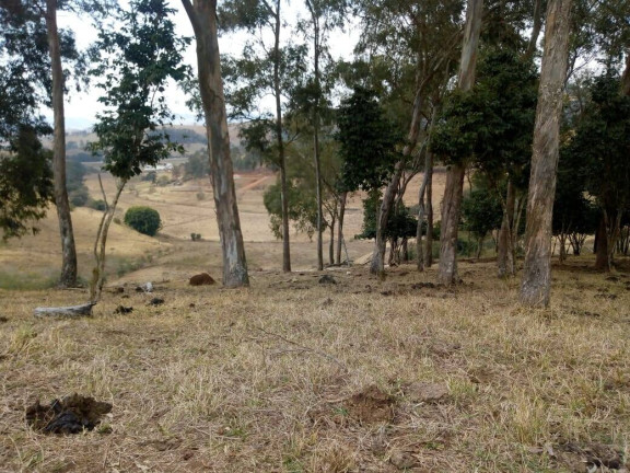 Imagem Chácara com 3 Quartos à Venda, 532 m² em Zona Rural - Cambuí
