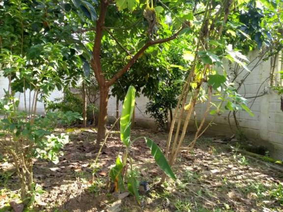 Imagem Chácara com 4 Quartos à Venda, 200 m² em Jd. Umuarama - Itanhaém Imagem Chácara com 4 Quartos à Venda, 200 m² em Jd. Umuarama - Itanhaém