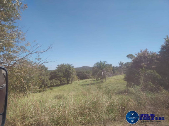 Imagem Fazenda à Venda, 100 m² em Zona Rural - Aruanã Imagem Fazenda à Venda, 100 m² em Zona Rural - Aruanã