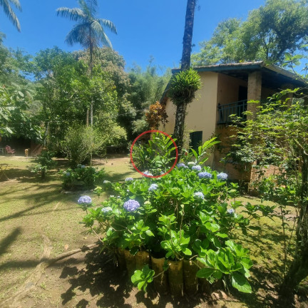 Imagem Casa com 2 Quartos à Venda, 237 m² em Boiçucanga - São Sebastião