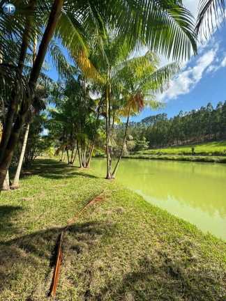 Imagem Chácara com 6 Quartos à Venda, 55.000 m² em Belo Oriente