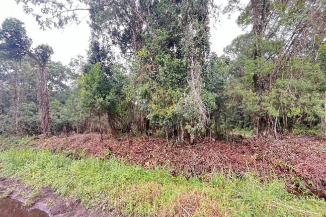 Imagem Terreno à Venda, 375 m² em Pontal Do Norte - Itapoá Imagem Terreno à Venda, 375 m² em Pontal Do Norte - Itapoá