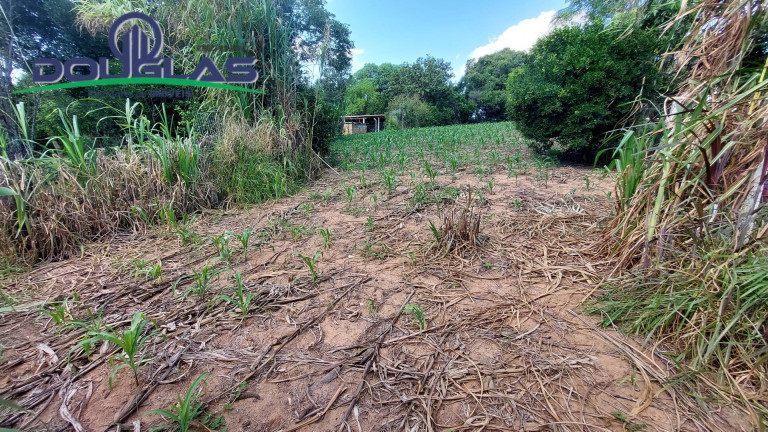 Imagem Terreno à Venda, em águas Claras - Viamão Imagem Terreno à Venda, em águas Claras - Viamão