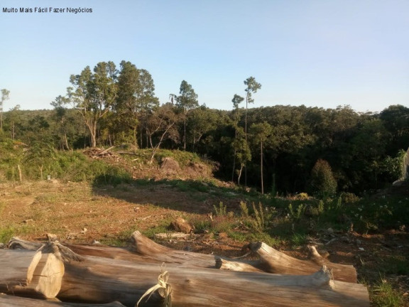 Imagem Terreno à Venda, 508 m² em Vale Verde - Nova Petrópolis Imagem Terreno à Venda, 508 m² em Vale Verde - Nova Petrópolis