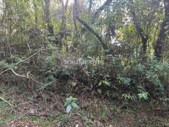 Imagem Terreno à Venda, 2.570 m² em Região De Capivari - Campos Do Jordão Imagem Terreno à Venda, 2.570 m² em Região De Capivari - Campos Do Jordão