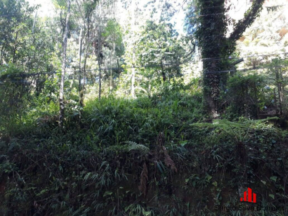 Imagem Terreno à Venda, 1 m² em Vila Capivari - Campos Do Jordão Imagem Terreno à Venda, 1 m² em Vila Capivari - Campos Do Jordão