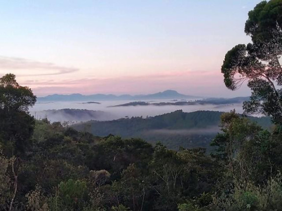 Imagem Imóvel com 3 Quartos à Venda, 23.560 m² em Centro - Bocaiuva Do Sul Imagem Imóvel com 3 Quartos à Venda, 23.560 m² em Centro - Bocaiuva Do Sul