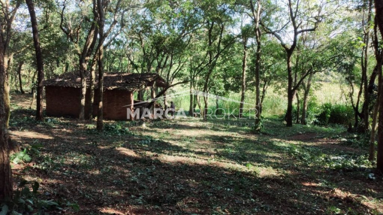 Imagem Fazenda à Venda, 35.000 m² em Floresta - Monte Santo De Minas Imagem Fazenda à Venda, 35.000 m² em Floresta - Monte Santo De Minas