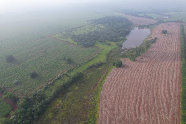 Imagem Fazenda à Venda, 53 m² em Zona Rural - Ipauçu Imagem Fazenda à Venda, 53 m² em Zona Rural - Ipauçu