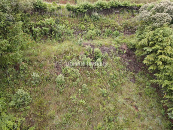 Imagem Imóvel à Venda, 1.500 m² em Região De Descansópolis - Campos Do Jordão Imagem Imóvel à Venda, 1.500 m² em Região De Descansópolis - Campos Do Jordão