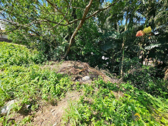 Imagem Terreno à Venda, 500 m² em Escola Agrícola - Blumenau Imagem Terreno à Venda, 500 m² em Escola Agrícola - Blumenau