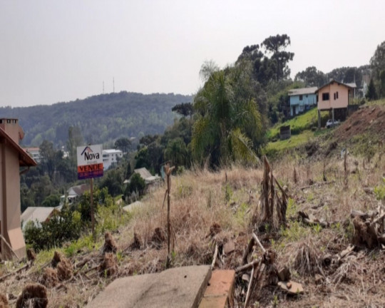 Imagem Imóvel à Venda, 505 m² em Vale Verde - Nova Petrópolis