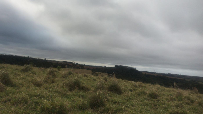 Imagem Fazenda à Venda, 59 m² em Rural - São Miguel Arcanjo Imagem Fazenda à Venda, 59 m² em Rural - São Miguel Arcanjo