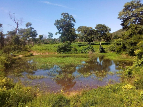 Imagem Fazenda à Venda, 200 m² em Centro - Acorizal Imagem Fazenda à Venda, 200 m² em Centro - Acorizal