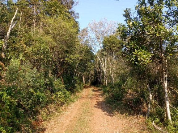 Imagem Terreno à Venda, 20 m² em Linha Temerária - Nova Petrópolis Imagem Terreno à Venda, 20 m² em Linha Temerária - Nova Petrópolis