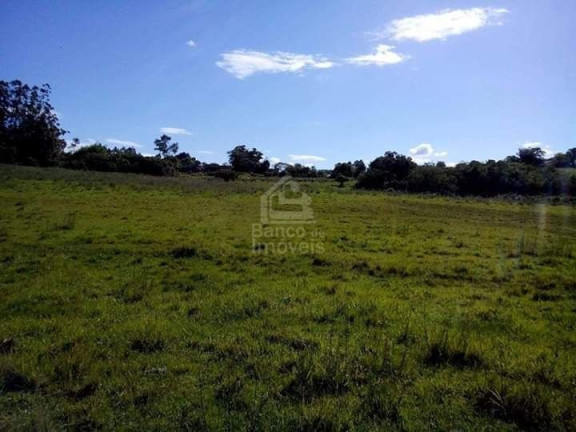 Imagem Imóvel com 3 Quartos à Venda, 62.000 m² em Zona Rural - Formigueiro