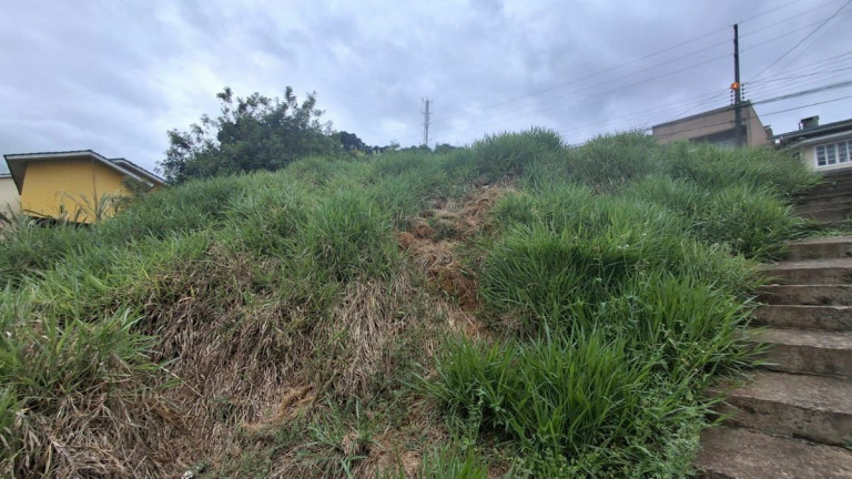 Imagem Terreno à Venda, 574 m² em Cibrazém - Videira Imagem Terreno à Venda, 574 m² em Cibrazém - Videira