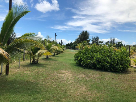 Imagem Casa à Venda,  em Barra Grande - Marau