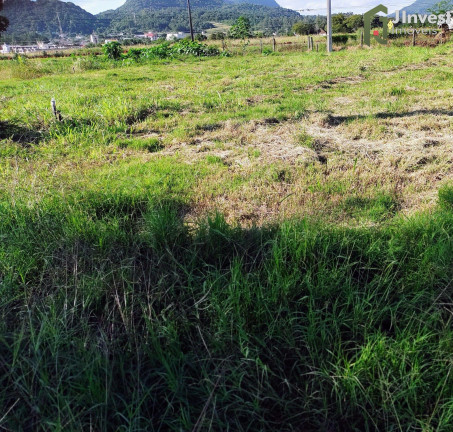 Imagem Terreno à Venda, 541 m² em Centro - Faxinal Do Soturno Imagem Terreno à Venda, 541 m² em Centro - Faxinal Do Soturno