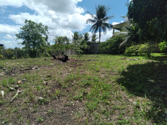 Terreno à Venda, 3.000 m² em Rural - Paudalho