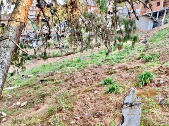 Imagem Terreno à Venda, 360 m² em Jardim Márcia - Campos Do Jordão