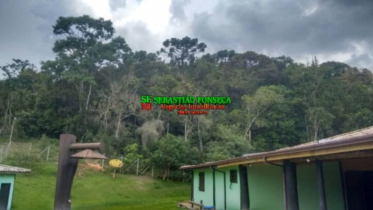 Imagem Chácara com 4 Quartos à Venda, 50 m² em Centro - Paraibuna Imagem Chácara com 4 Quartos à Venda, 50 m² em Centro - Paraibuna