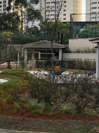 Imagem Apartamento com 3 Quartos à Venda, 65 m² em Vila Suzana - São Paulo Imagem Apartamento com 3 Quartos à Venda, 65 m² em Vila Suzana - São Paulo