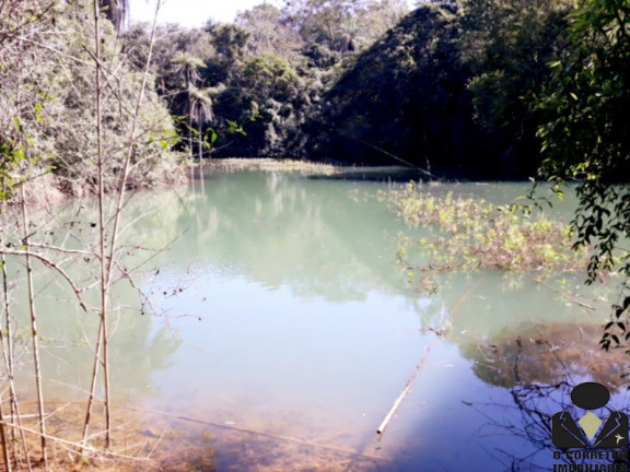 Imagem Imóvel com 5 Quartos à Venda, 21.000 m² em Condomínio Rural Quintas Da Fazendinhas - Matozinhos