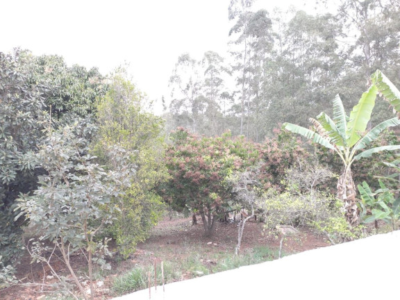 Imagem Imóvel com 5 Quartos à Venda, 5.000 m² em Boa Vista Dos Silva - Bragança Paulista