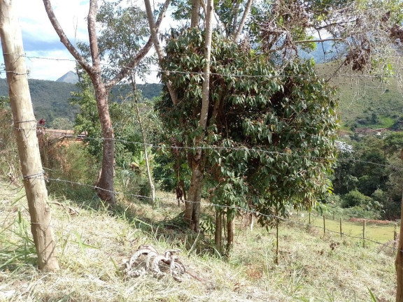 Imagem Terreno à Venda, 433 m² em Prata - Teresópolis Imagem Terreno à Venda, 433 m² em Prata - Teresópolis