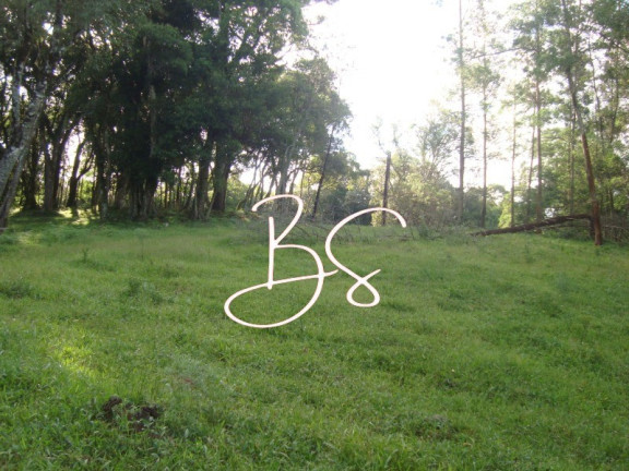 Imagem Terreno à Venda, 50.000 m² em Linha Bonita - Gramado Imagem Terreno à Venda, 50.000 m² em Linha Bonita - Gramado