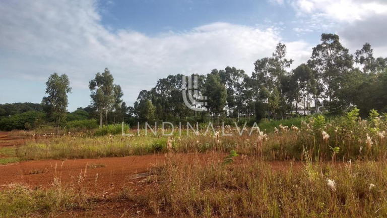 Imagem Terreno à Venda, 20.000 m² em Polo Centro - Foz Do Iguacu